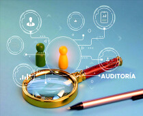 Auditoría organizacional